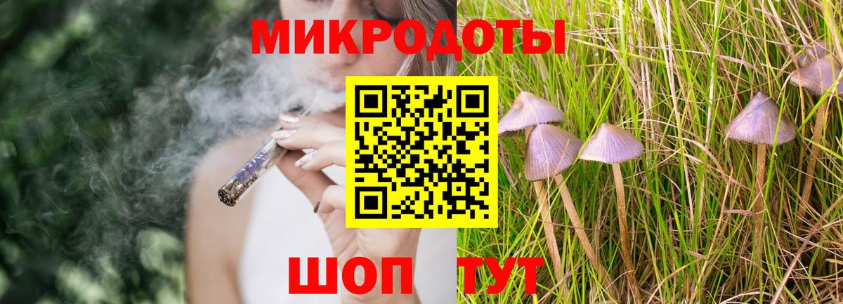 Галлюциногенные грибы Psilocybine cubensis  Вход с VPN  где купить наркоту  Карабулак 